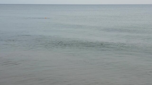 A lone swimmer with a bright orange buoy attached to their waist, strokes through the water training for a triathlon. 