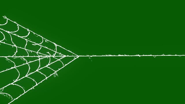 Intricate white spider web rapidly contracting elastic lines, dynamic motion graphic overlay on green screen background, flexible white spider silk animation expanding dynamic lines,4k video