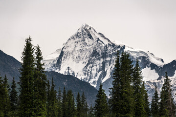Obraz premium China Xinjiang Shata Snow Mountain