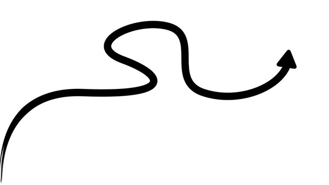 Hand-drawn wavy arrow animation on white background, for motion and, ui doodle
