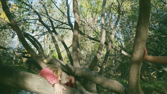 Boy sitting on a fallen tree then resting his head on the branch with a contented smile