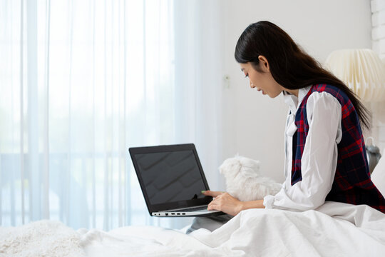 Woman using laptop on bed with small white Maltese dog, remote work, home, technology, pet companionship, comfort, productivity and relaxed indoor lifestyle