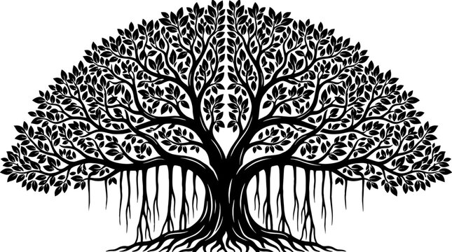 Large Banyan Tree Silhouette with Hanging Roots