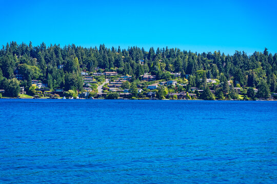Shoreline Homes Mercer Island 2