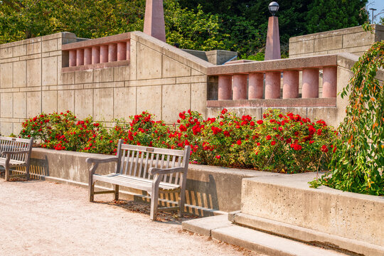 Walkway At Bellevue Park 3