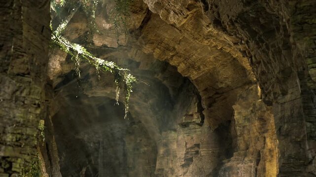 Sunlit cavern atrium with hanging vines and high arches, cascading light creating cathedrallike glow, textured rock walls and verdant pockets, perfect backdrop