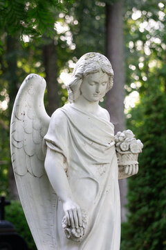 A serene white angel statue holding flowers in a cemetery setting