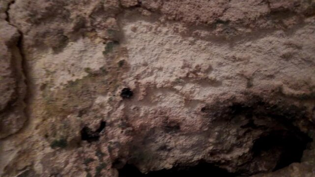 Malta, Xemxija Heritage trail, Punic caves. look into holes in the cave walls and celling