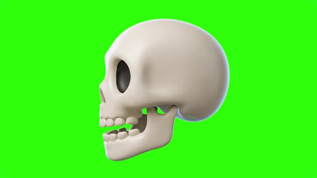 A clean 3D illustration of a human skull seen from a side profile view, isolated on a bright chroma key green background. Ideal for medical animations, anatomy visuals, Halloween graphics, gaming UI a