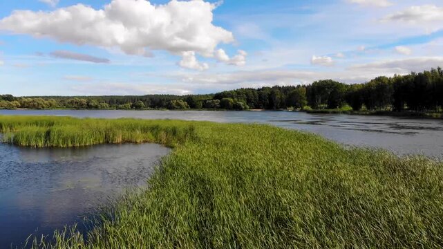 Latvian nature. Beautiful landscape view of Tervete water reservoir on sunny summer day