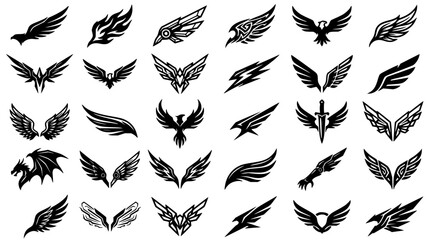 Obraz premium Black and white wing designs set with intricate feather patterns featuring ornithological illustrations with geometric and organic shapes and abstract motifs