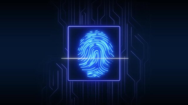Blue glowing fingerprint scan verifies access on a digital interface. Biometric identity system analyzes the glowing fingerprint scan. Cyber security clearance checks this fingerprint scan.