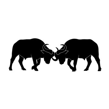 Black Buffalo Silhouette Set, Fighting Bulls Head Butting, Stampede Wildebeest Icon, Minimalist Wild Animal Graphic Design
