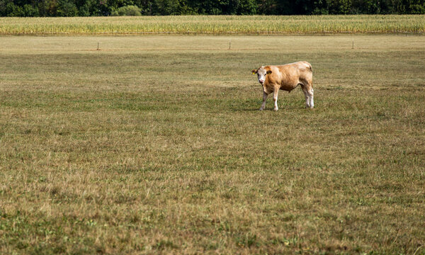 D&uuml;rre und Landwirtschaft