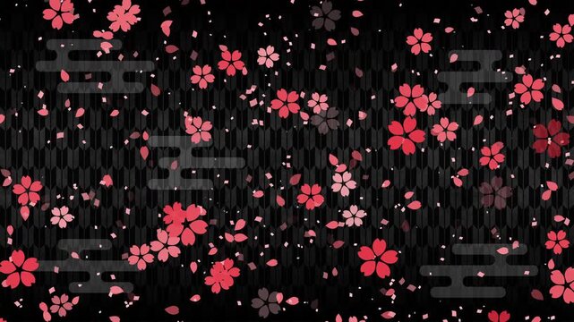 桜01 小 赤 紙吹雪 赤 下降 パターン01 エ霞 矢絣01 ループ （黒 背景）