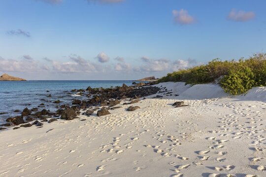 Gardner Bay beach, Isla Espa&ntilde;ola, Galapagos, Ecuador