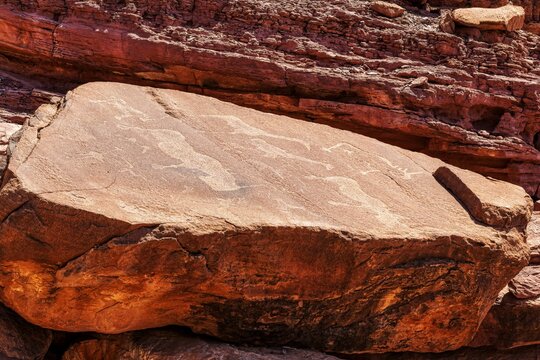 Rock engravings, prehistory, stone carvings, archaeology, Twyfelfontein, Namibia