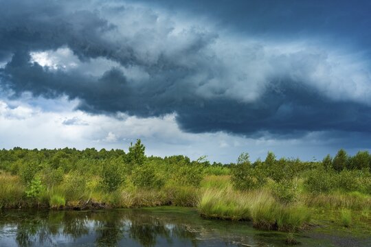 Thunderstorm over Goldenstedter Moor, clouds, weather, Goldenstedt, Lower Saxony, Germany