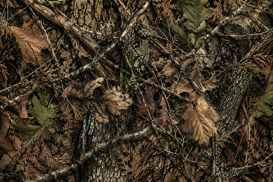 High-definition photorealistic hunting camouflage featuring layered oak leaves, pine/cedar twigs, dry sticks, mossy highlights, and textured tree bark backgrounds. Photorealistic Woodland Camouflage 