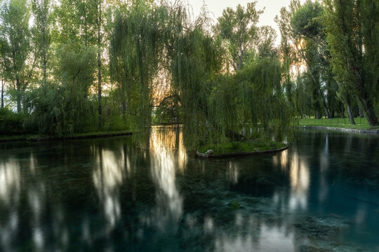 View of the serene Fonti del Clitunno with weeping willow trees reflecting in the clear pond water surrounded by lush greenery in Campello Sul Clitunno, Umbria, Italy.
