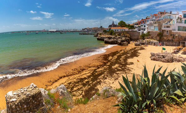 Small Atlantic beach surrounded by rocky cliffs, palm trees and traditional coastal buildings in Cascais, Portugal.