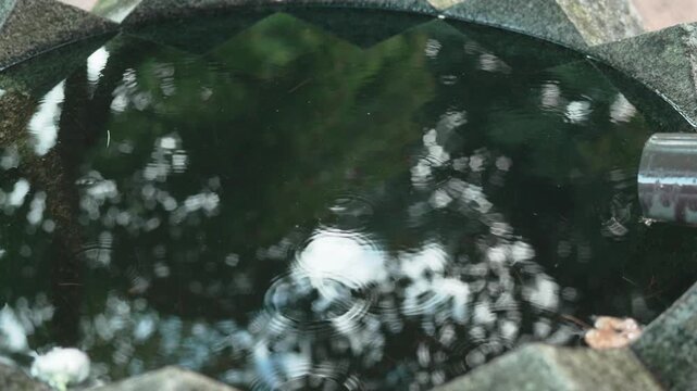 寺の水受けに雨が滴る様子