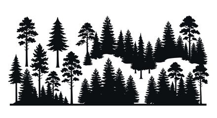 Fototapeta premium Coniferous forest silhouette against a white background depicts a dense woodland scene