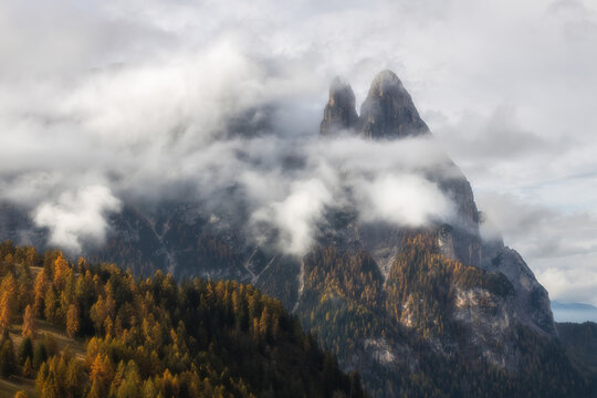 View of the jagged peaks of the Tre Cime di Lavaredo in the Dolomites, partially obscured by clouds above a dense forest of golden autumn larch trees in Auronzo di Cadore, Veneto, Italy.
