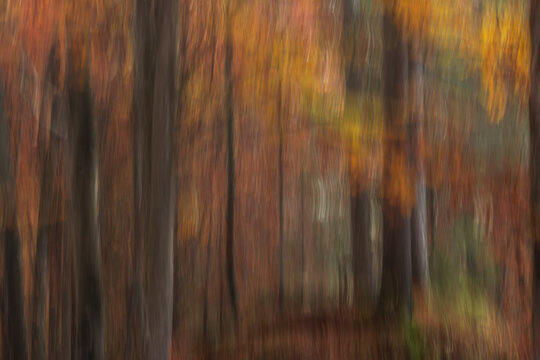 View of abstract motion blur of autumn forest foliage with vertical streaks of orange, yellow, and brown colors near Lake Antorno in Auronzo di Cadore, Veneto, Italy.