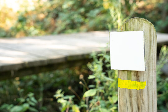 Blank trail sign on wooden post with yellow route marker