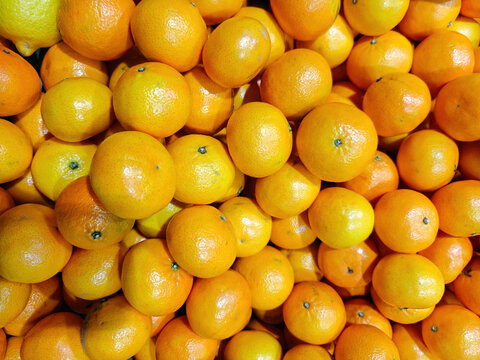Close-up of fresh, ripe mandarins (or citrus varieties such as satsumas or clementines), neatly packed in a crate or on a counter.