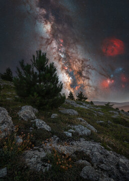 View of Campo Imperatore under the vibrant Milky Way galaxy with rocky terrain, pine trees, and wildflowers in the night sky, L'Aquila, Abruzzo, Italy.