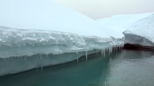 Giant frozen sculptures drift through calm Antarctic waters as delicate icicles hang from snowbanks, rippling gently beneath a bright polar sky.