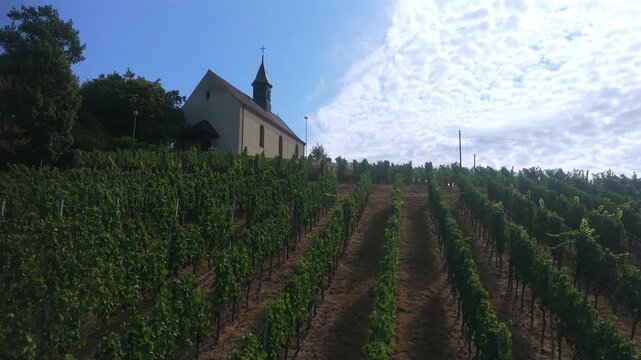 Beautiful aerial view of the Jakobuskapelle chapel on a hill. Green vineyards covering the sloping landscape in Gengenbach, Germany