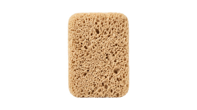 A high-angle studio shot of a natural porous sponge. This textured organic rectangular scrubbing tool is perfect for beauty, bathroom, skincare, or cleaning concepts.