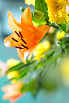 Beautiful floristic bouquet, bright lily flower art design, professional bouquet with different flowers, close up. Colorful Chrysanthemums and other flowers, collected in beautiful floral arrangement