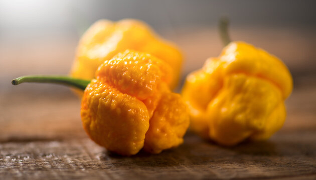Yellow Trinidad Moruga Scorpion Pepper Chili on wooden table, closeup. One of the hottest peppers in the world, heat level 1,200,000 to 2,000,000 Scoville Heat Units (SHU) 
