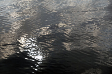 wavelets on the water - kleine Wellen auf dem Wasser © Konstanze Gruber