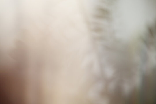 Soft focus grain beige blur texture wall with refraction. Light and shadow smoke abstract  reflection rays background.