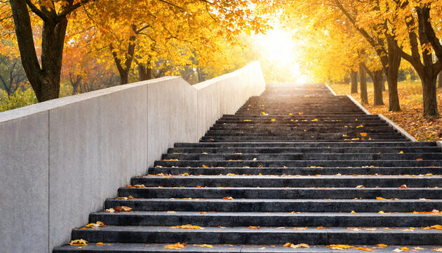 Autumn staircase ascent through golden trees with sunlight