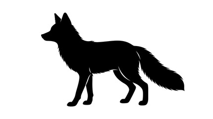 Fototapeta premium Detailed black silhouette of a wild fox standing isolated on white background