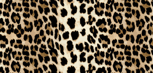 leopard skin texture © Amir