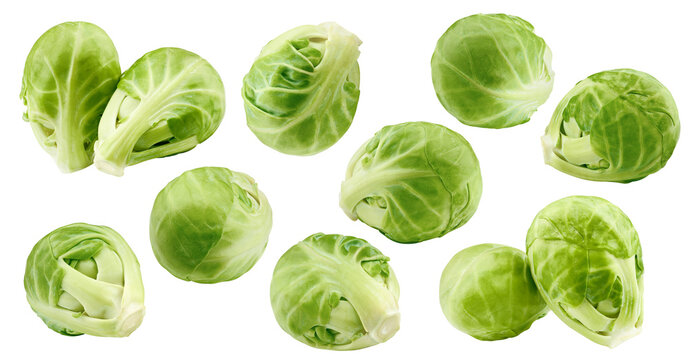 Brussel sprout isolated, full depth of field