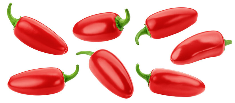 Jalapeno Pepper, isolated, full depth of field