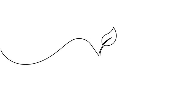 Natural medicine and herbal capsule pill icon sign continuous one line drawing moving on white background animation video
