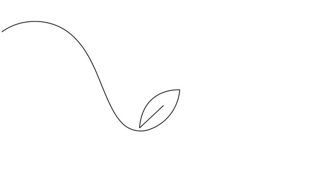 Natural medicine and herbal capsule pill icon sign continuous one line drawing moving on white background animation video
