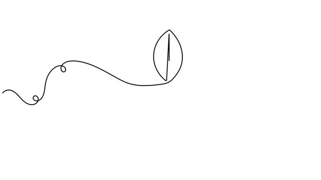 Natural medicine and herbal capsule pill icon sign continuous one line drawing moving on white background animation video