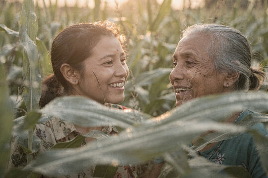 Two Women Laughing Together in Tall Maize Field