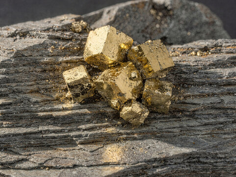 Natural Pyrite Crystal Cubes Embedded in Grey Shale Rock Macro
