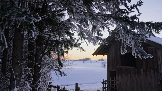 Handheld shot of wooden cabin and snow covered pine trees with a winter landscape at sunset